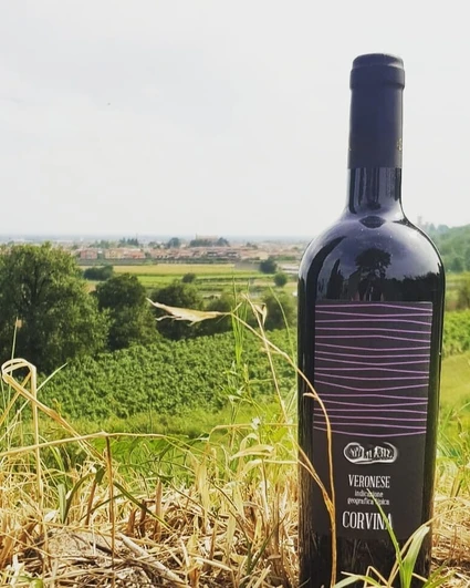 Tra Storia e Futuro: Degustazione Vini e Light Lunch/Dinner sulle Colline del Garda 23